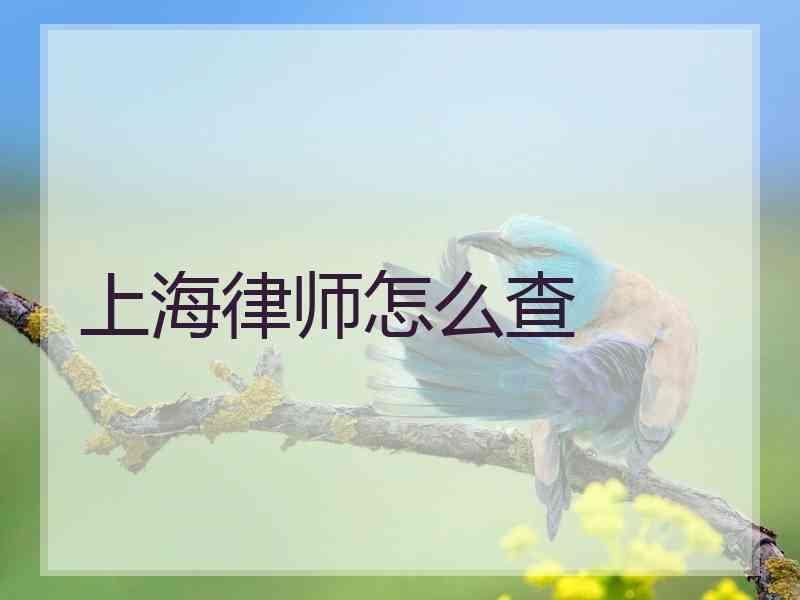 上海律师怎么查