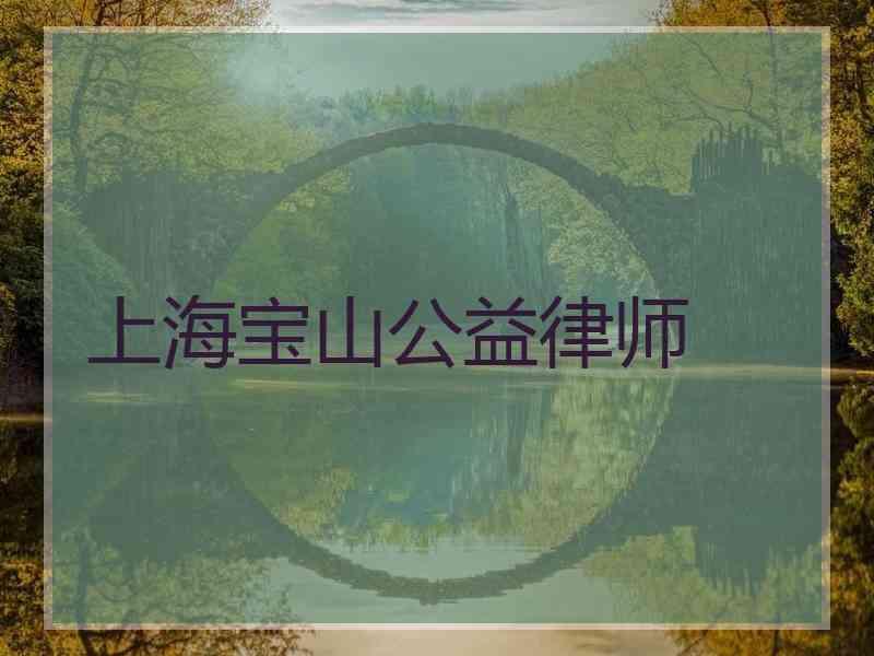 上海宝山公益律师