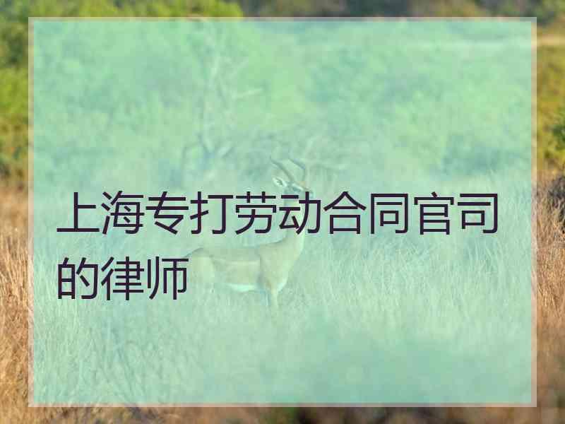 上海专打劳动合同官司的律师