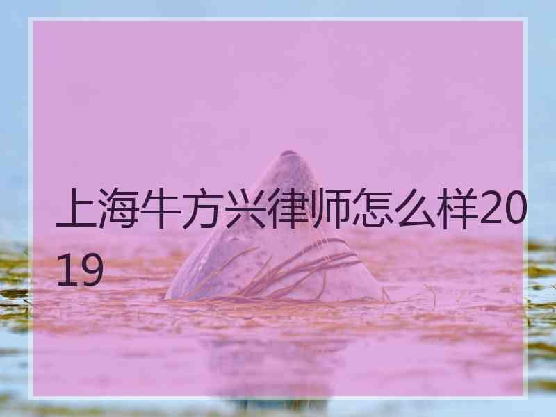 上海牛方兴律师怎么样2019