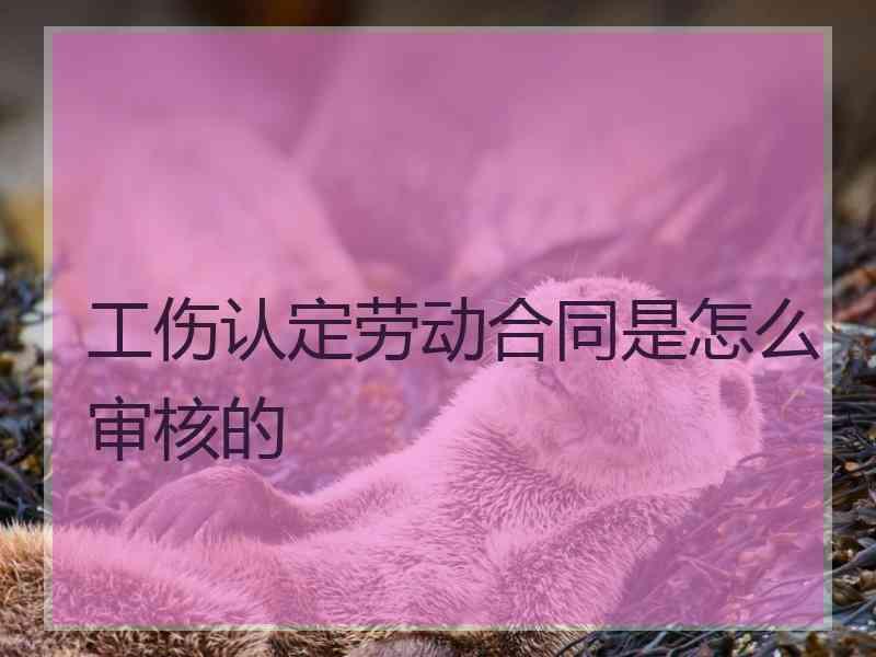 工伤认定劳动合同是怎么审核的