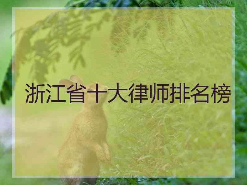 浙江省十大律师排名榜