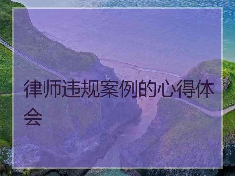 律师违规案例的心得体会