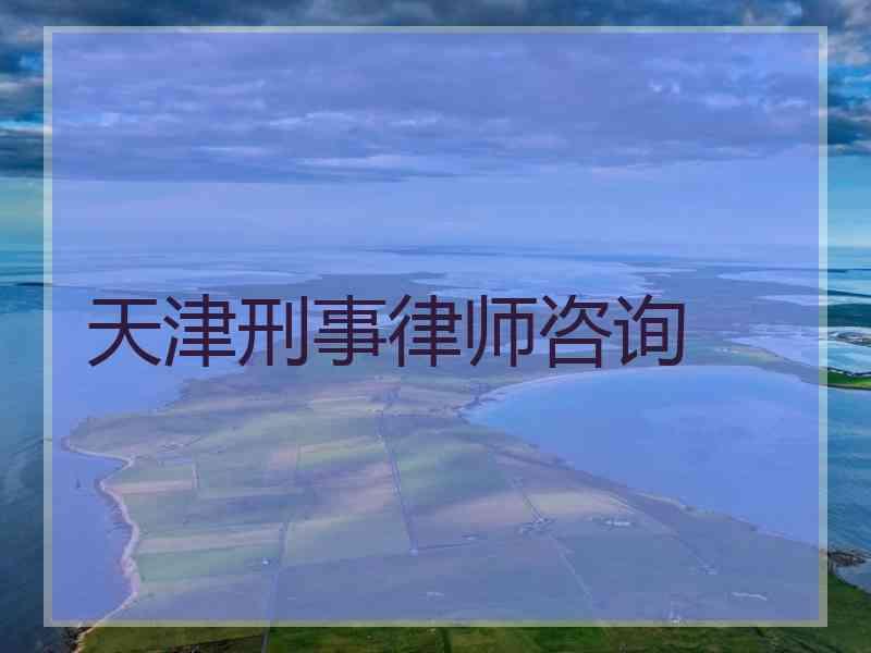 天津刑事律师咨询