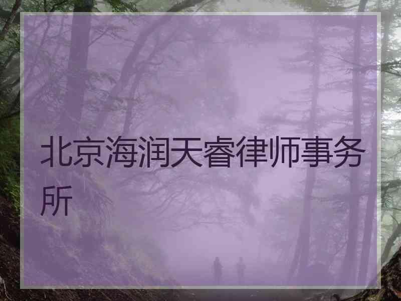 北京海润天睿律师事务所