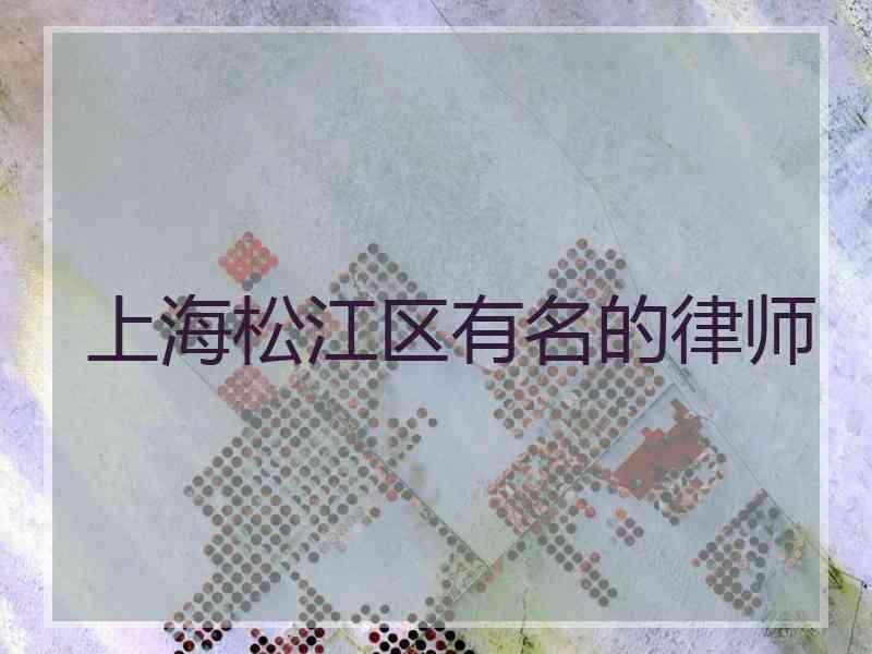 上海松江区有名的律师