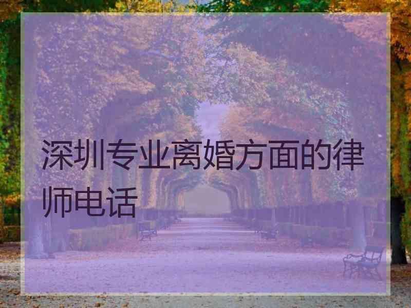 深圳专业离婚方面的律师电话