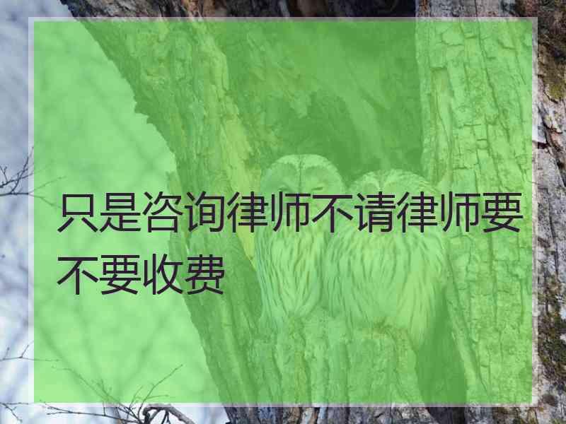 只是咨询律师不请律师要不要收费