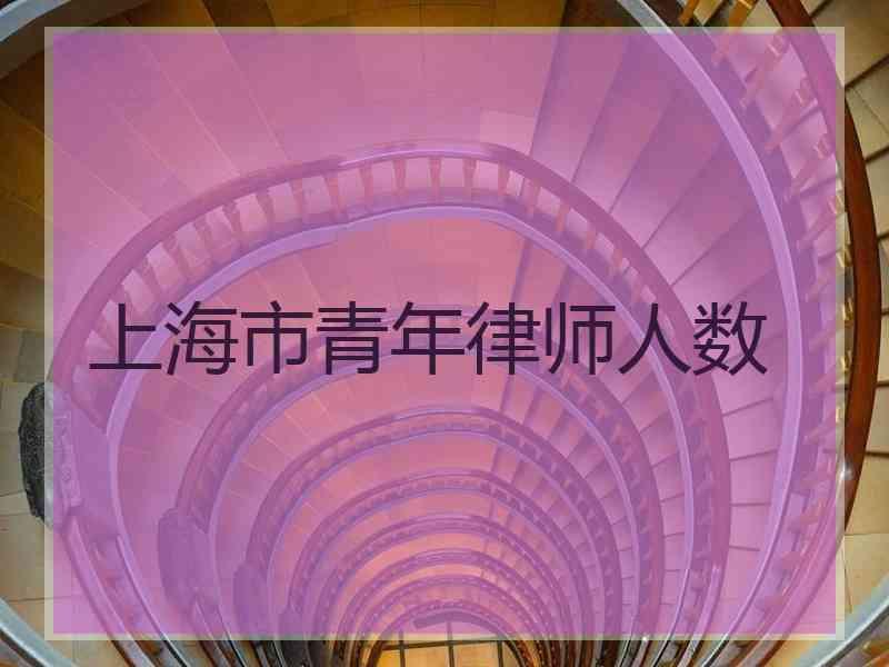 上海市青年律师人数