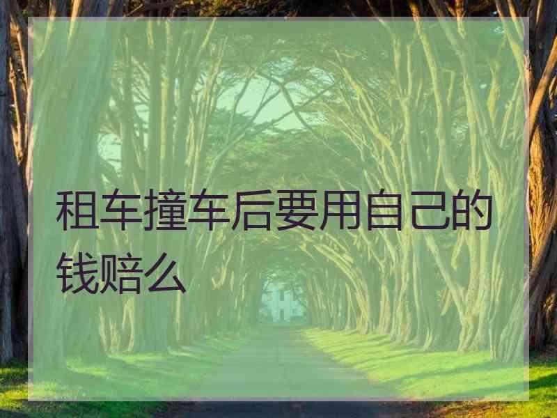 租车撞车后要用自己的钱赔么