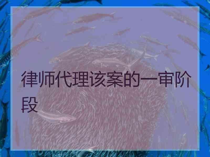 律师代理该案的一审阶段