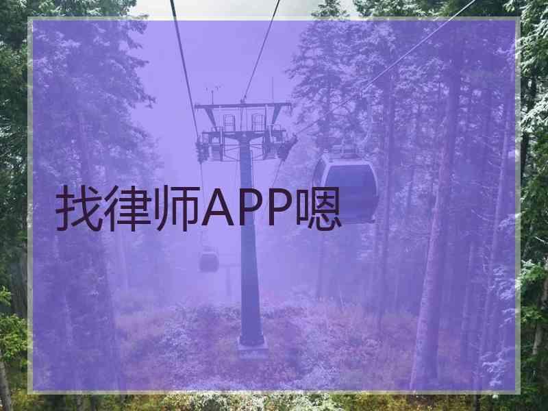 找律师APP嗯