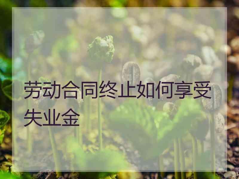 劳动合同终止如何享受失业金