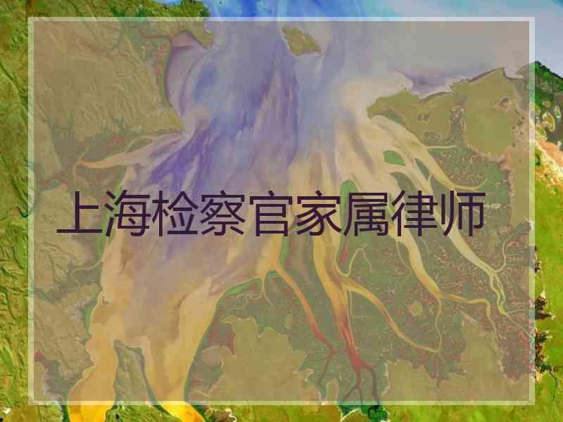 上海检察官家属律师