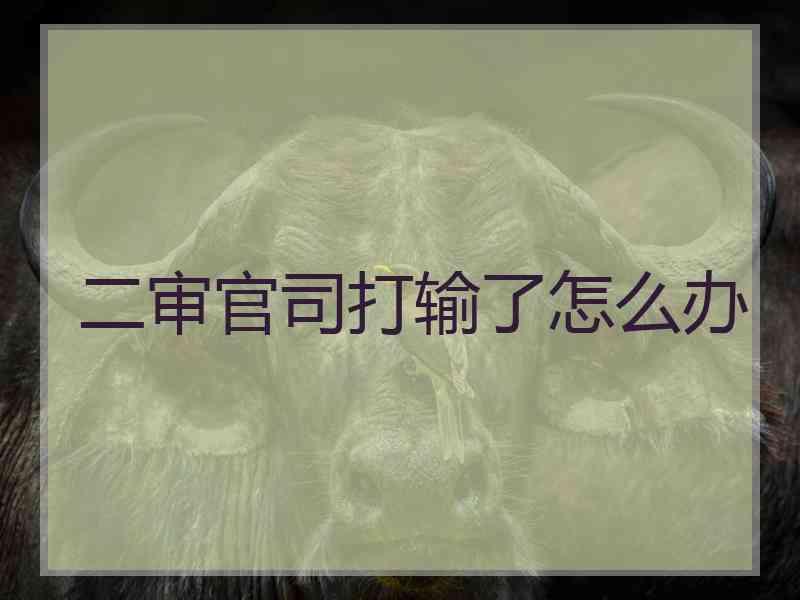 二审官司打输了怎么办
