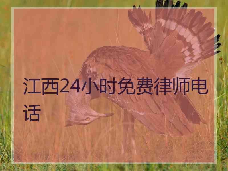 江西24小时免费律师电话