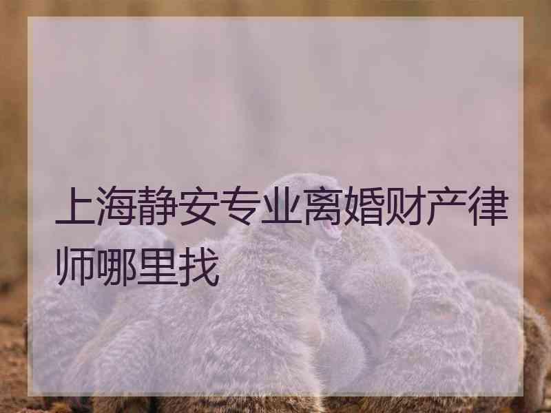 上海静安专业离婚财产律师哪里找