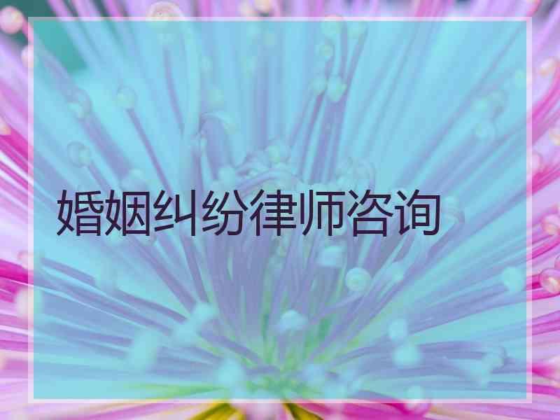 婚姻纠纷律师咨询