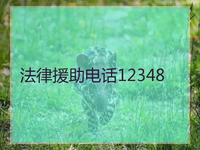 法律援助电话12348