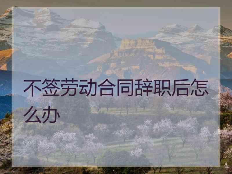不签劳动合同辞职后怎么办