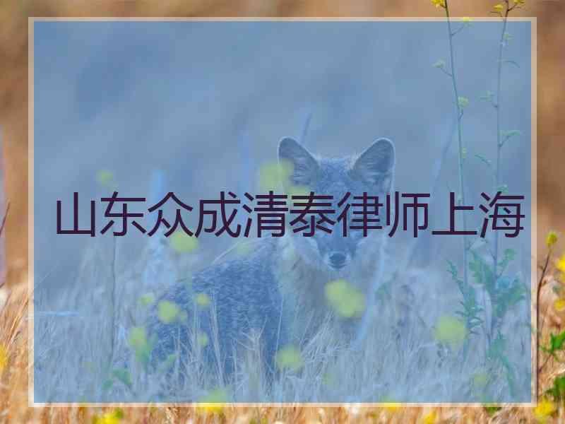 山东众成清泰律师上海