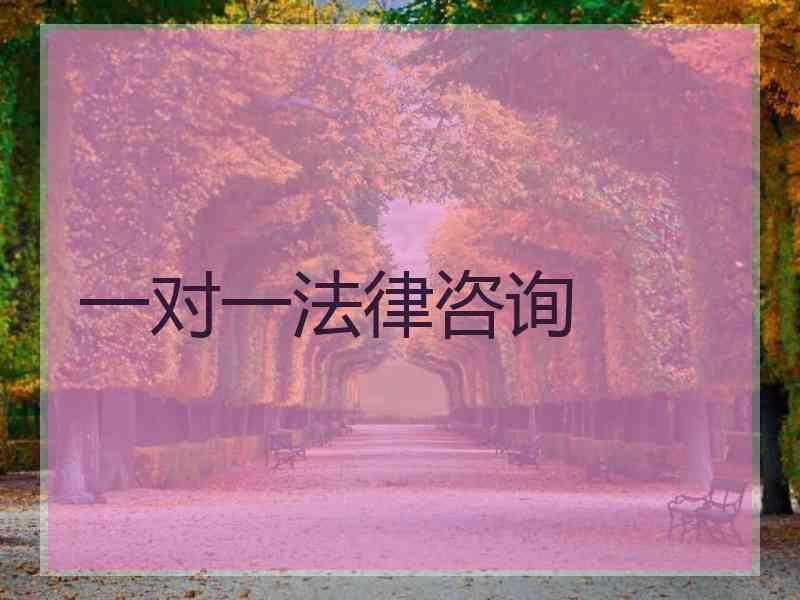 一对一法律咨询