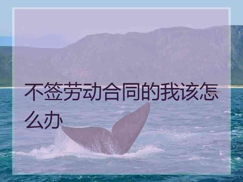 不签劳动合同的我该怎么办