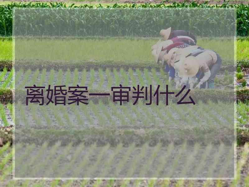 离婚案一审判什么