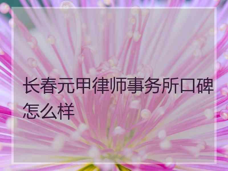 长春元甲律师事务所口碑怎么样