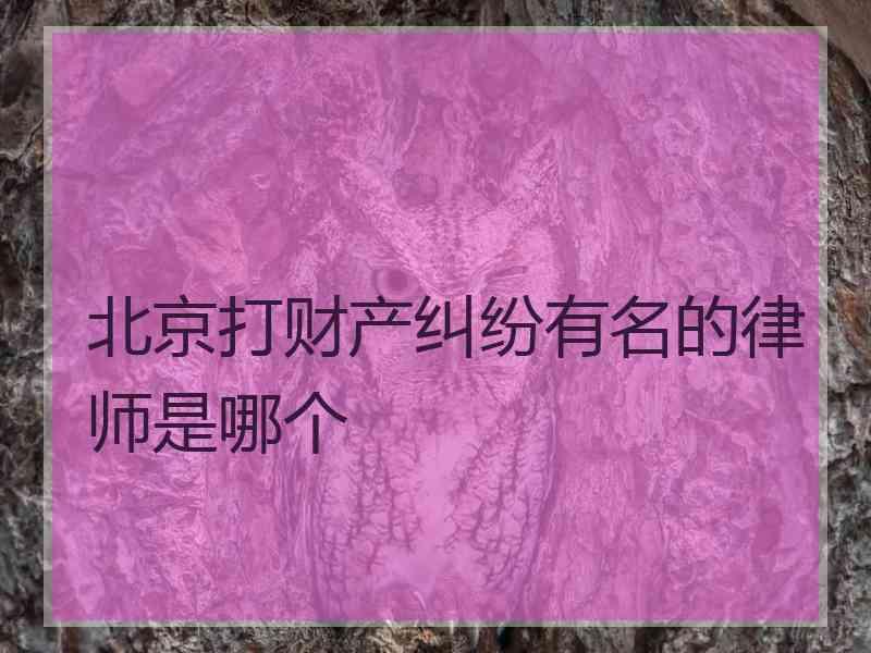 北京打财产纠纷有名的律师是哪个