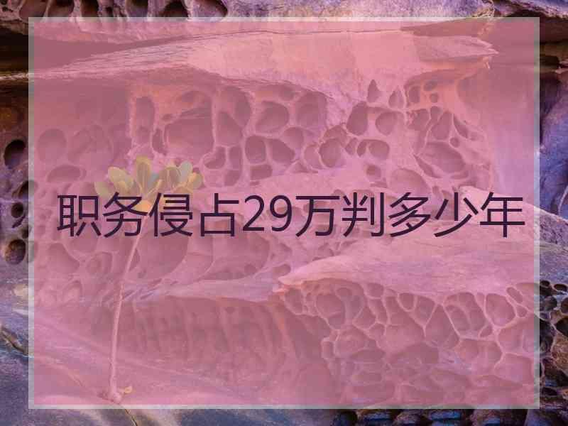 职务侵占29万判多少年