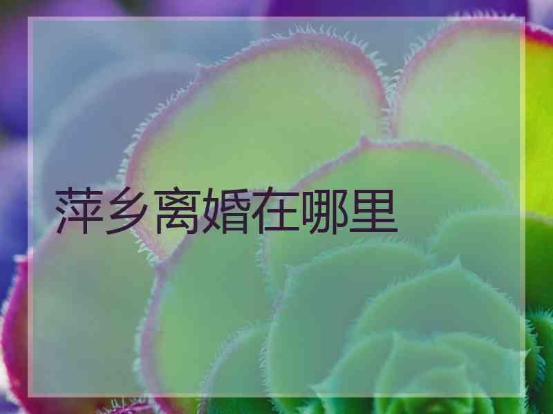 萍乡离婚在哪里