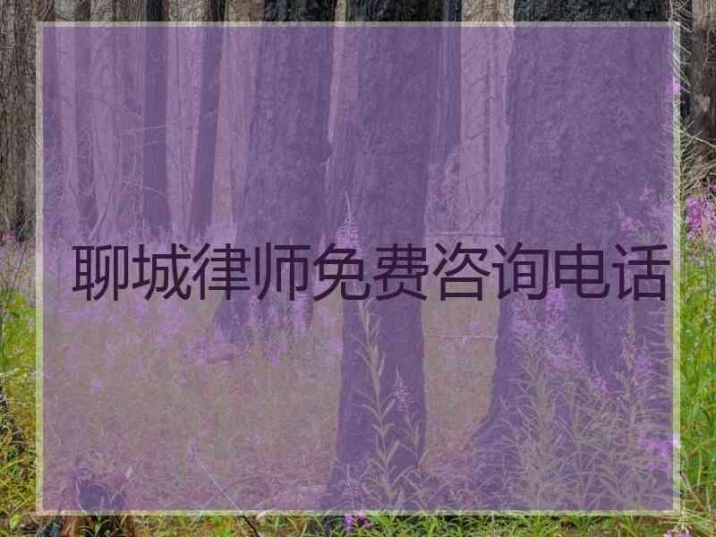 聊城律师免费咨询电话