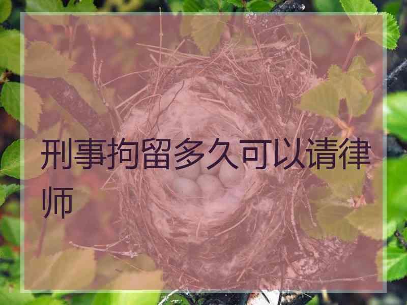 刑事拘留多久可以请律师