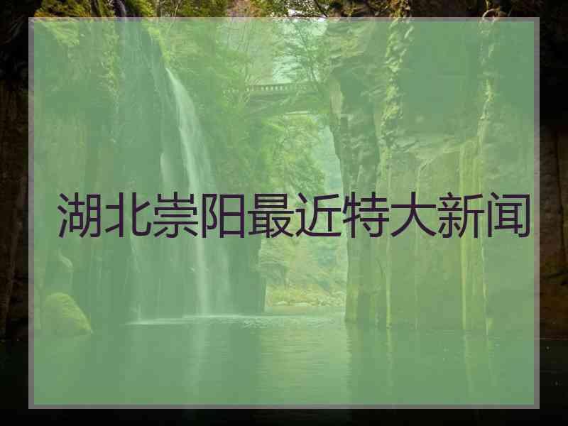 湖北崇阳最近特大新闻