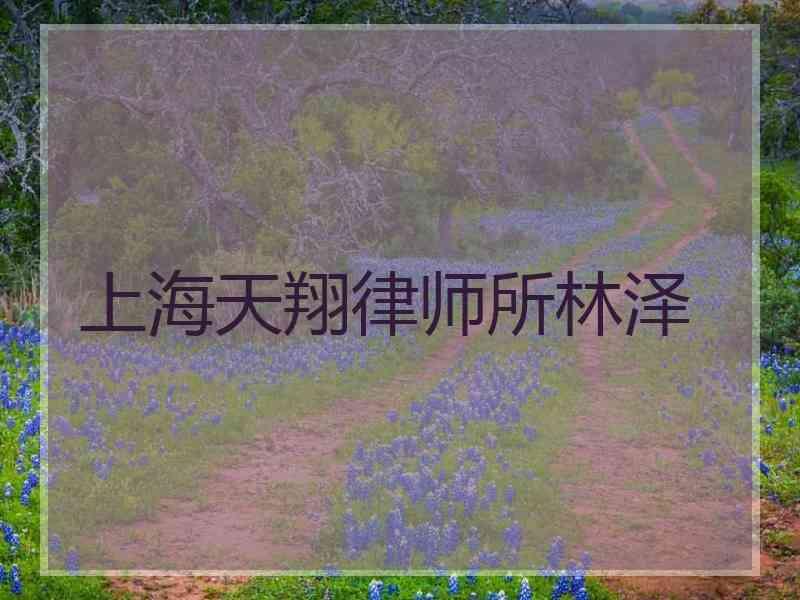 上海天翔律师所林泽