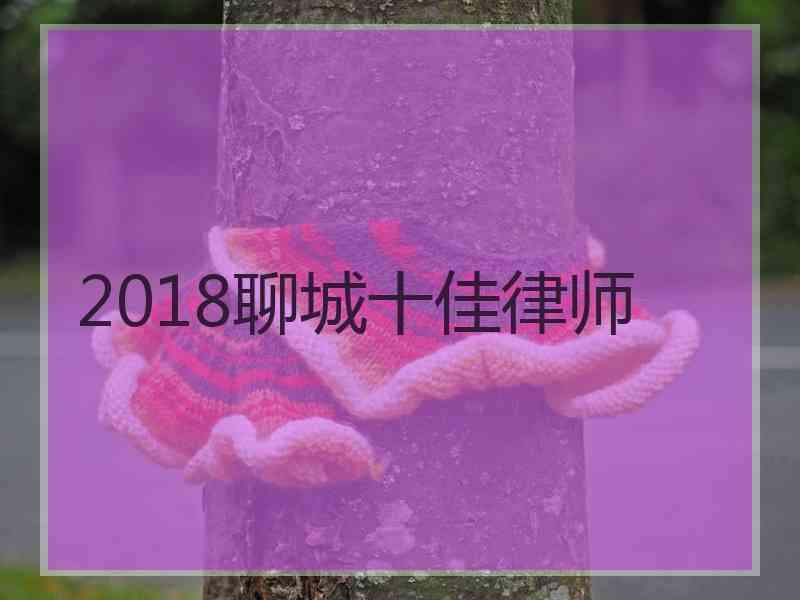 2018聊城十佳律师