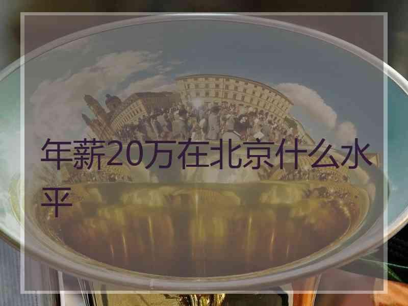 年薪20万在北京什么水平