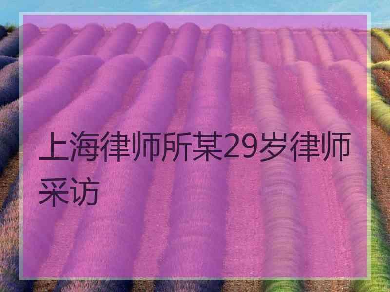 上海律师所某29岁律师采访