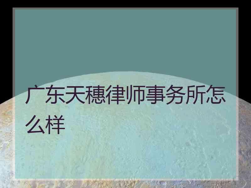 广东天穗律师事务所怎么样