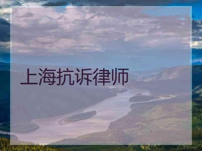 上海抗诉律师