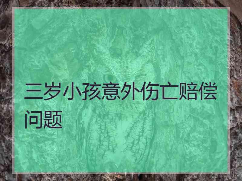 三岁小孩意外伤亡赔偿问题