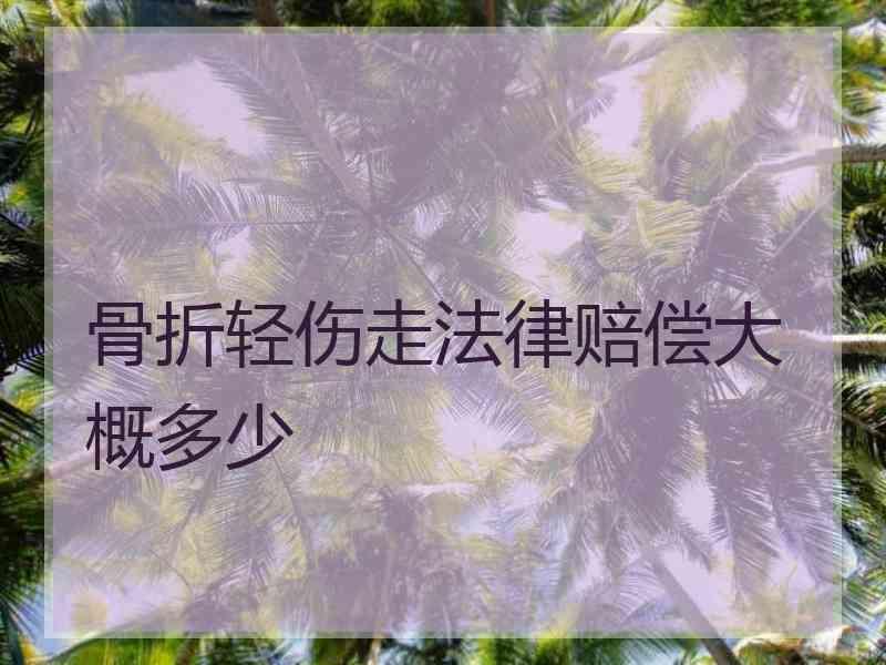 骨折轻伤走法律赔偿大概多少