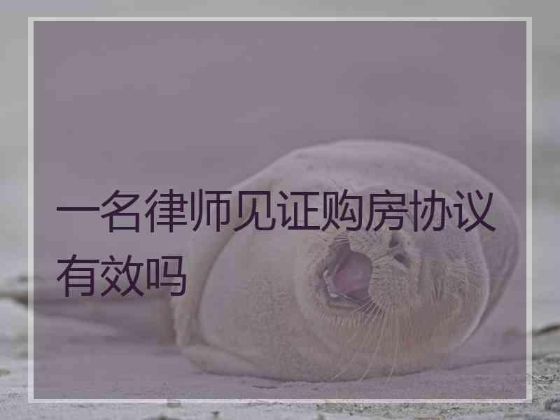 一名律师见证购房协议有效吗