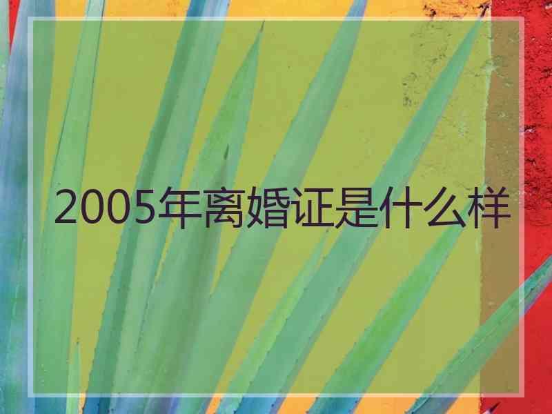 2005年离婚证是什么样