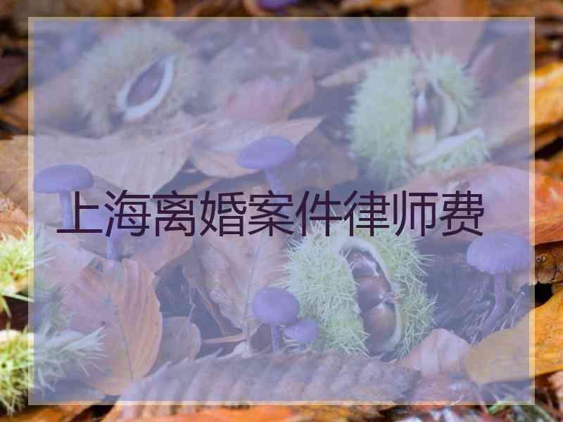 上海离婚案件律师费