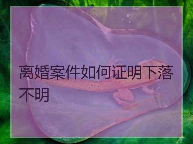 离婚案件如何证明下落不明