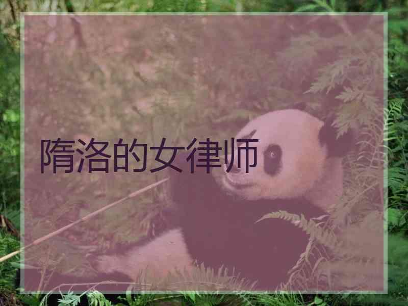 隋洛的女律师