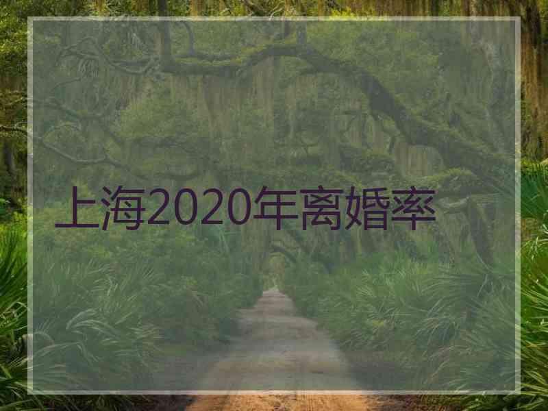 上海2020年离婚率