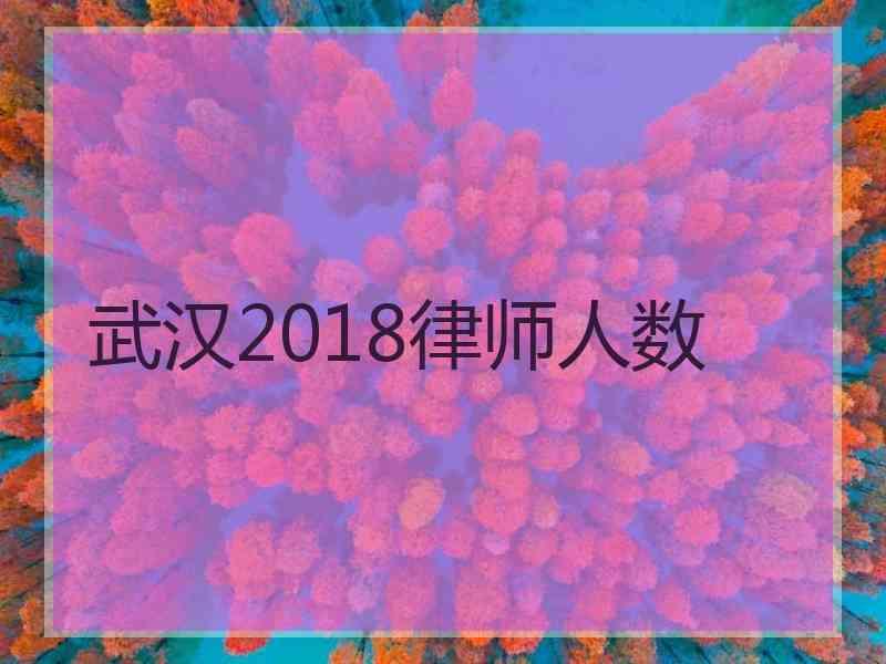 武汉2018律师人数